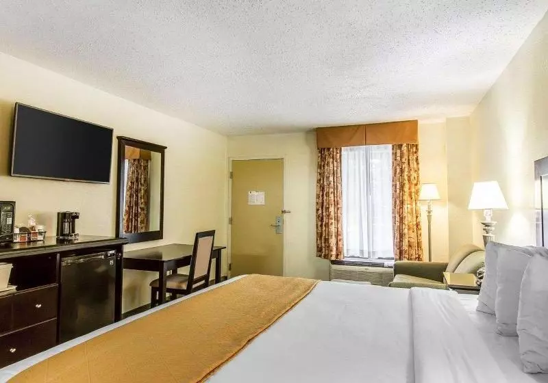 キングサイズベッドのスタンダードルーム, Quality Inn & Suites Conference Center Statesboro Historic District