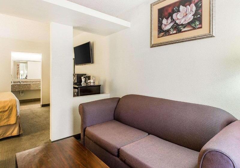 جناح سرير كينج, Quality Inn & Suites Conference Center Statesboro Historic District