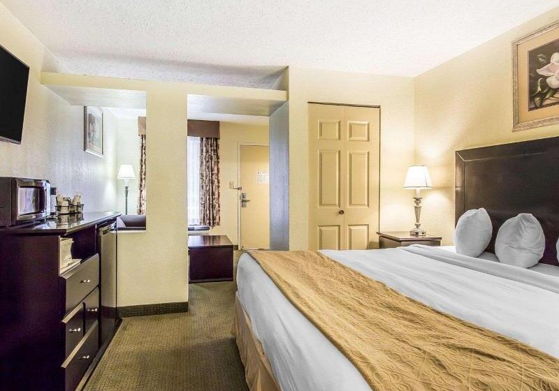 جناح سرير كينج, Quality Inn & Suites Conference Center Statesboro Historic District