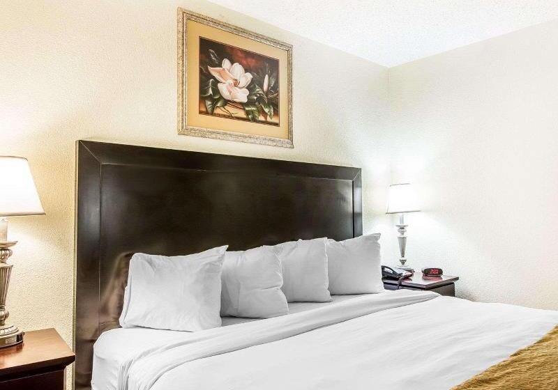 Люкс Кровать Кинг, Quality Inn & Suites Conference Center Statesboro Historic District