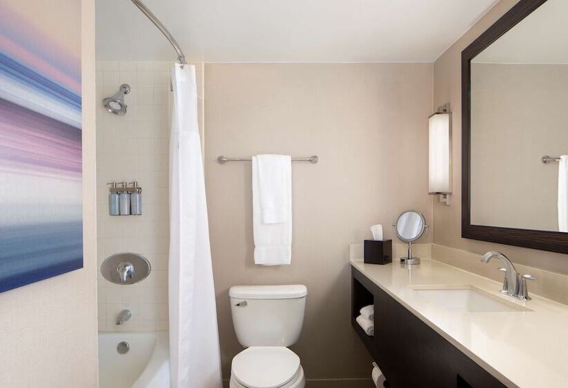 غرفة تنفيذية, Sonesta San Jose  Milpitas