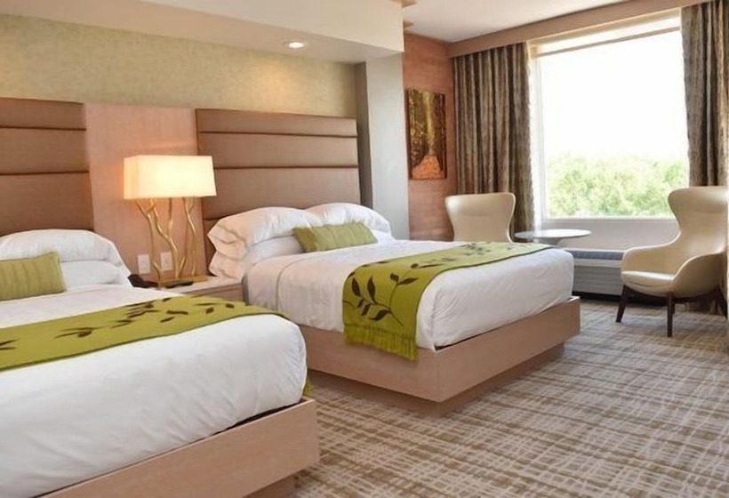 غرفة قياسية, The Fredonia