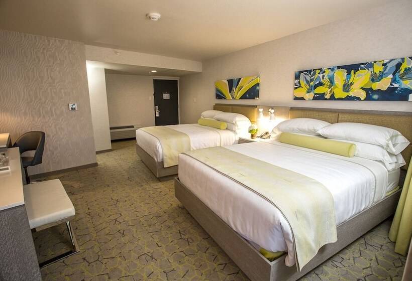 غرفة قياسية, The Fredonia