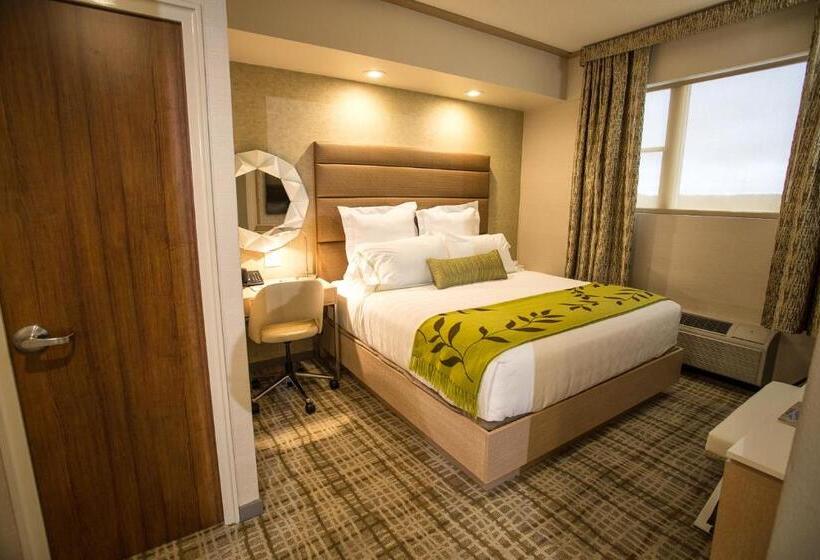 غرفة قياسية, The Fredonia