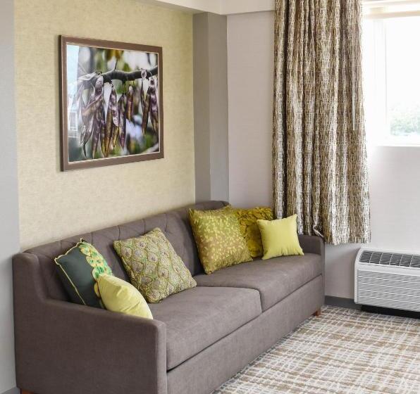 جناح إدارى, The Fredonia