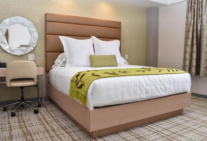 جناح إدارى, The Fredonia