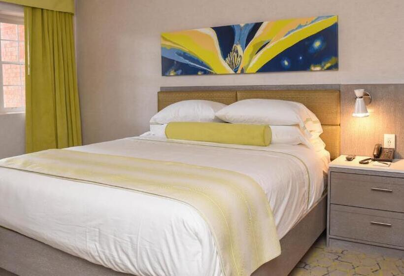 غرفة قياسية سرير كينج, The Fredonia