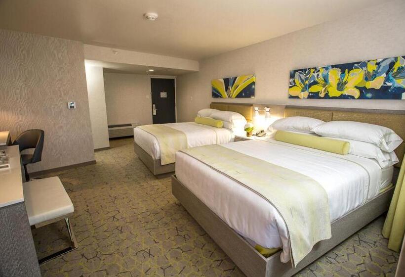 غرفة قياسية مطلّة علي حمام السباحة, The Fredonia