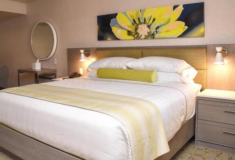 غرفة قياسية سرير كينج, The Fredonia