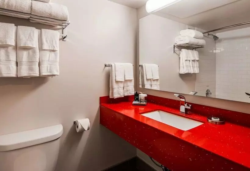 اتاق استاندارد با 2 تخت دوبل, The Rushmore Hotel & Suites; Bw Premier Collection