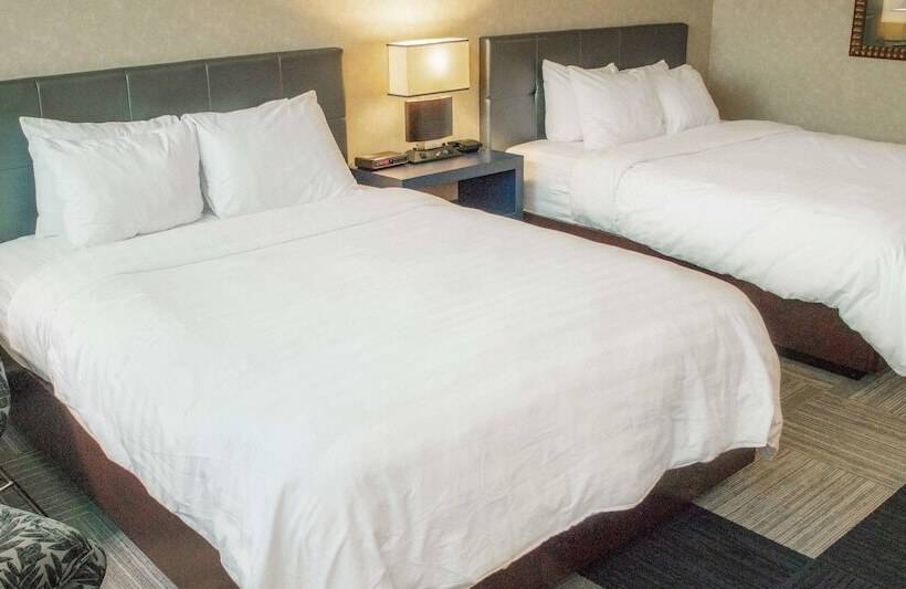 חדר סטנדרט שתי מיטות זוגיות, The Rushmore Hotel & Suites; Bw Premier Collection