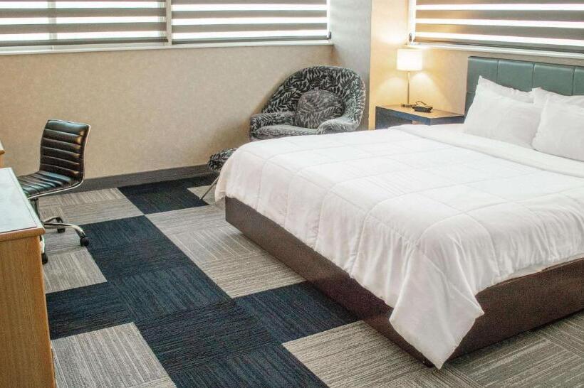 חדר סטנדרט עם מיטת קינג, The Rushmore Hotel & Suites; Bw Premier Collection