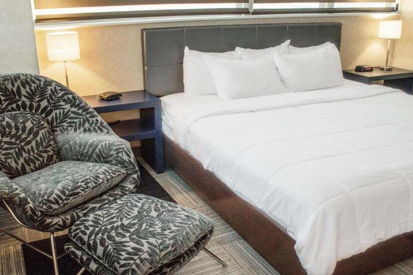 חדר סטנדרט עם מיטת קינג, The Rushmore Hotel & Suites; Bw Premier Collection