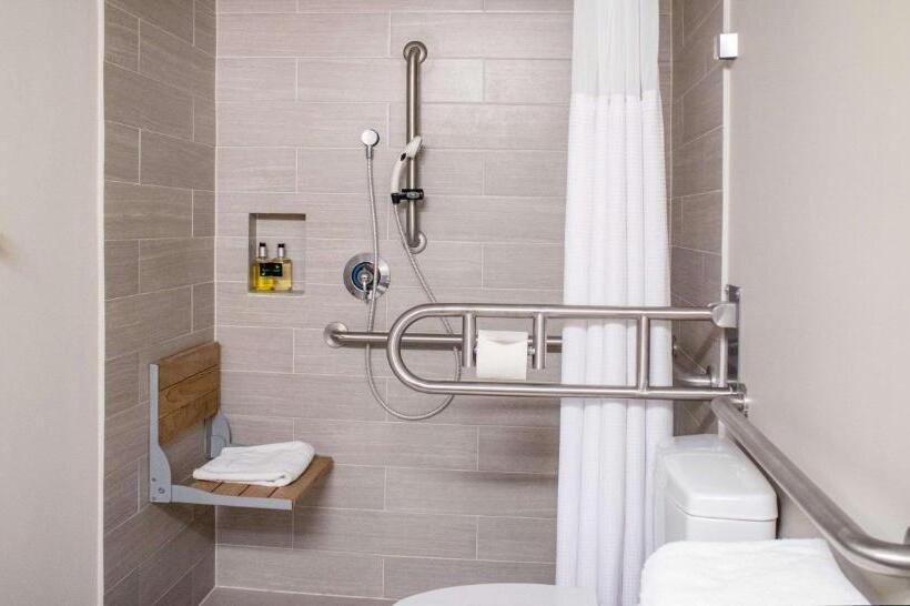 חדר סטנדרט, מיטת קינג, מותאם לאדם עם מוגבלויות, The Rushmore Hotel & Suites; Bw Premier Collection