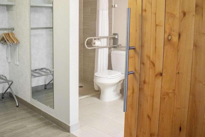 חדר סטנדרט, מיטת קינג, מותאם לאדם עם מוגבלויות, The Rushmore Hotel & Suites; Bw Premier Collection