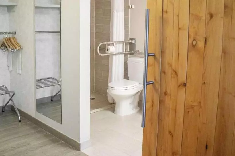اتاق استاندارد با تخت بزرگ برای معلولان, The Rushmore Hotel & Suites; Bw Premier Collection