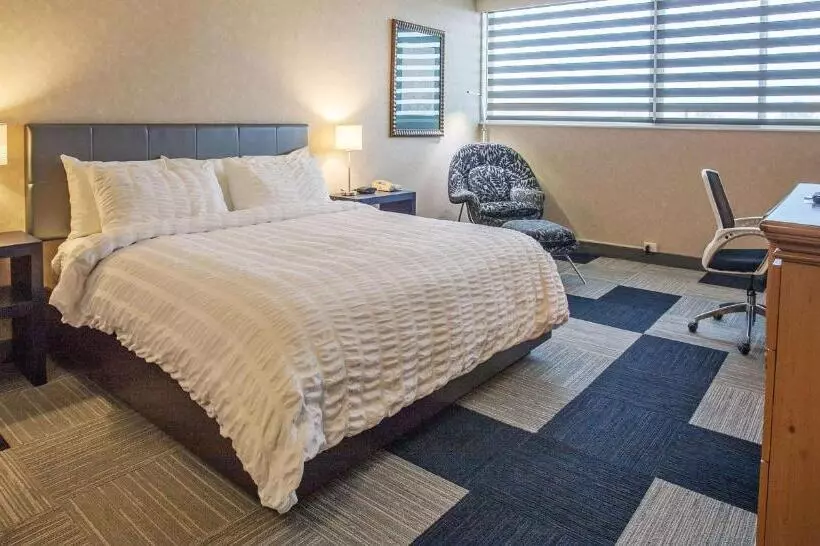 اتاق استاندارد با تخت بزرگ برای معلولان, The Rushmore Hotel & Suites; Bw Premier Collection