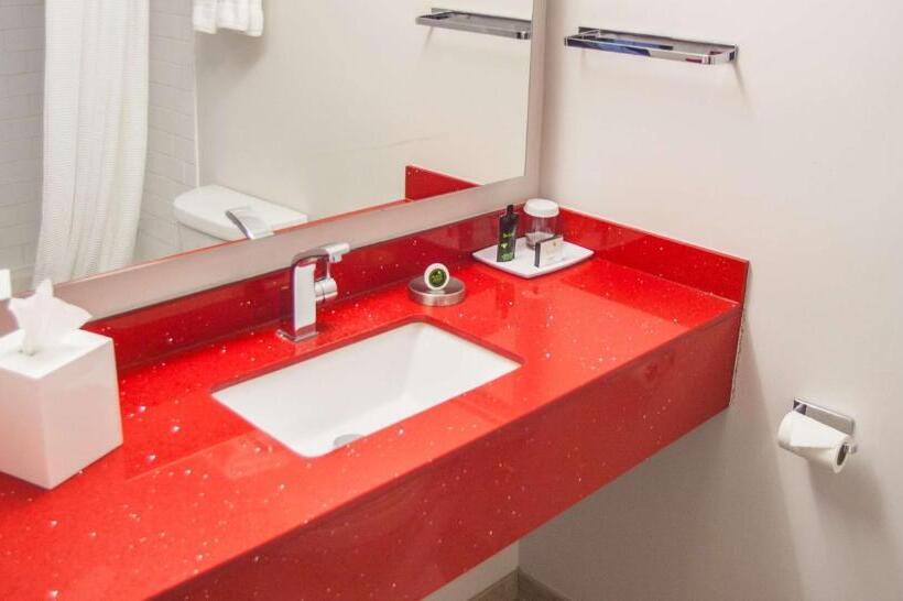 חדר סטנדרט נוף לעיר, The Rushmore Hotel & Suites; Bw Premier Collection