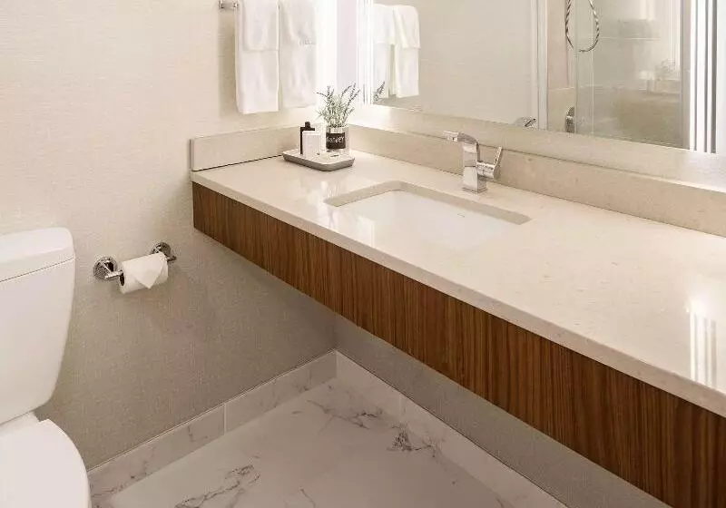سوئیت با تخت بزرگ, The Rushmore Hotel & Suites; Bw Premier Collection