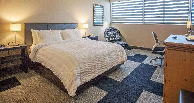 اتاق استاندارد با تخت بزرگ, The Rushmore Hotel & Suites; Bw Premier Collection
