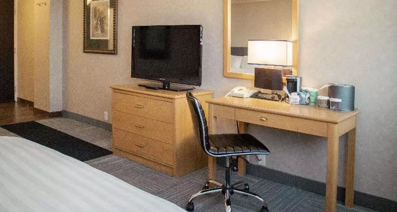 اتاق استاندارد با تخت بزرگ, The Rushmore Hotel & Suites; Bw Premier Collection