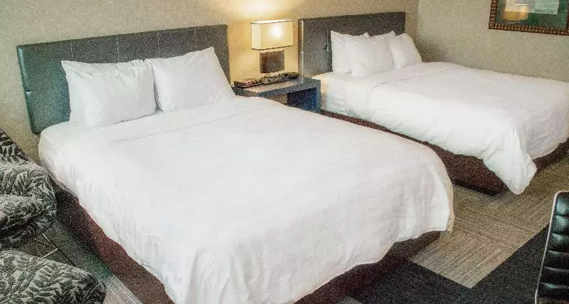 اتاق استاندارد, The Rushmore Hotel & Suites; Bw Premier Collection