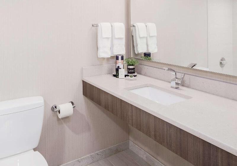 מיטת קינג בסוויטה, The Rushmore Hotel & Suites; Bw Premier Collection