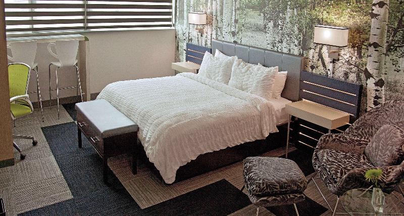 חדר סטנדרט עם מיטת קינג, The Rushmore Hotel & Suites; Bw Premier Collection