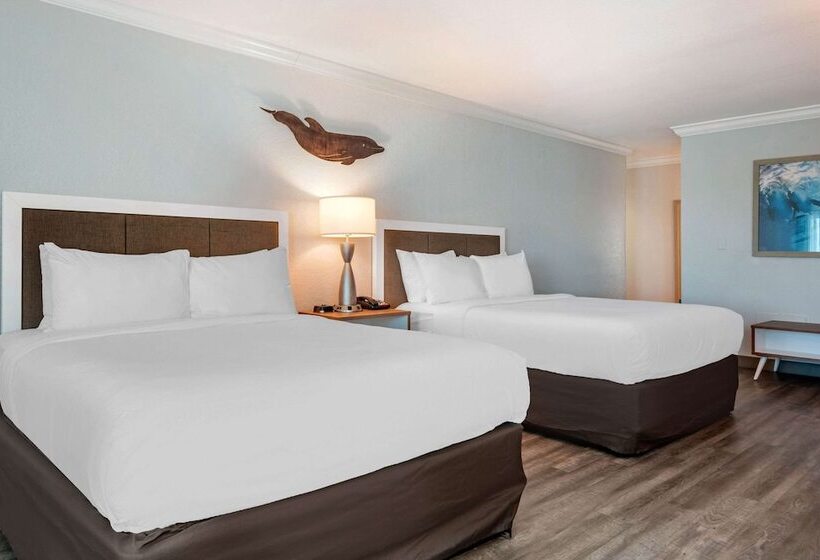 غرفه قياسيه سريرين مزدوجين, Winter The Dolphin S Beach Club, Ascend Hotel Collection