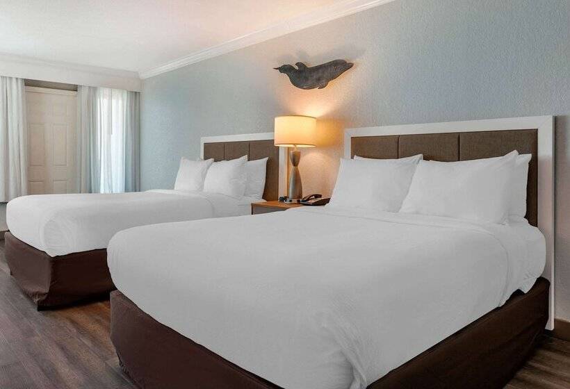 غرفه قياسيه سريرين مزدوجين, Winter The Dolphin S Beach Club, Ascend Hotel Collection