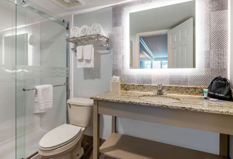 غرفة قياسية سرير مزدوج مطلة على المدينة, Winter The Dolphin S Beach Club, Ascend Hotel Collection