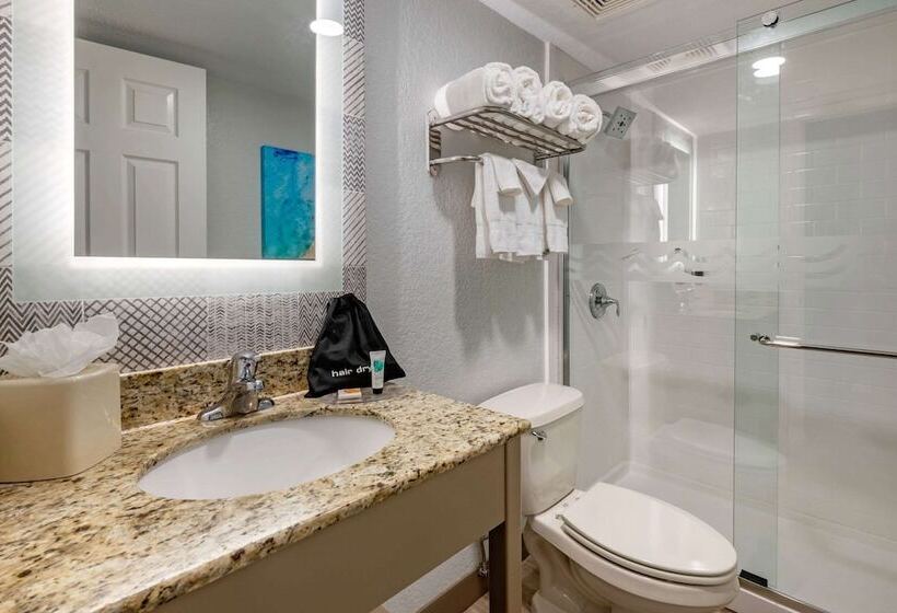 غرفة قياسية سرير مزدوج مطلة على المدينة, Winter The Dolphin S Beach Club, Ascend Hotel Collection