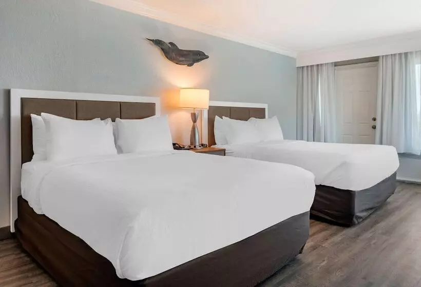シティビューのダブルベッドスタンダードルーム, Winter The Dolphin S Beach Club, Ascend Hotel Collection