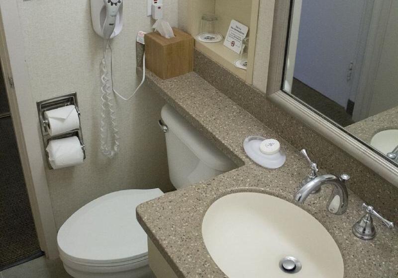 스탠다드 룸 킹사이즈 침대, Handlery Hotel San Diego