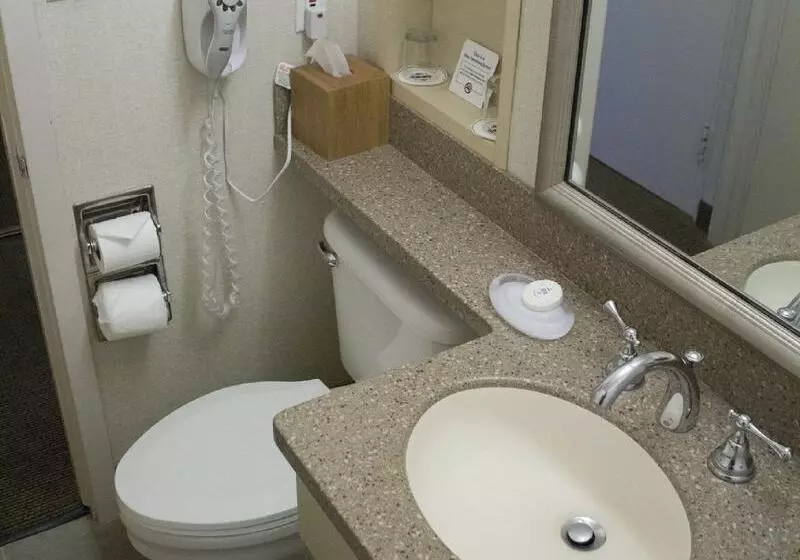 キングサイズベッドのスタンダードルーム, Handlery Hotel San Diego