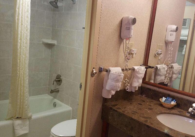 חדר סטנדרט, Best Western Fairfax City