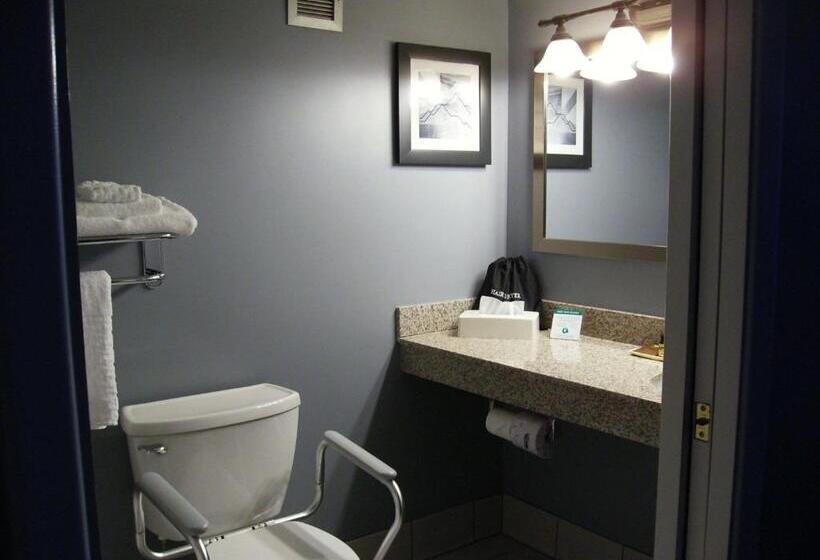 غرفة قياسية لذوى الاحتياجات الخاصة, Best Western Plus Bradford Inn