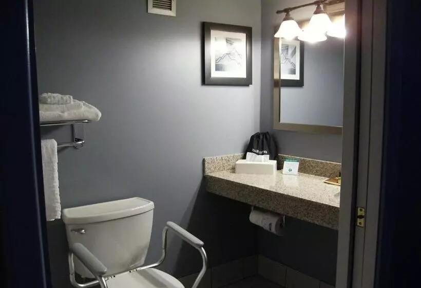 اتاق استاندارد با تخت بزرگ برای معلولان, Best Western Plus Bradford Inn