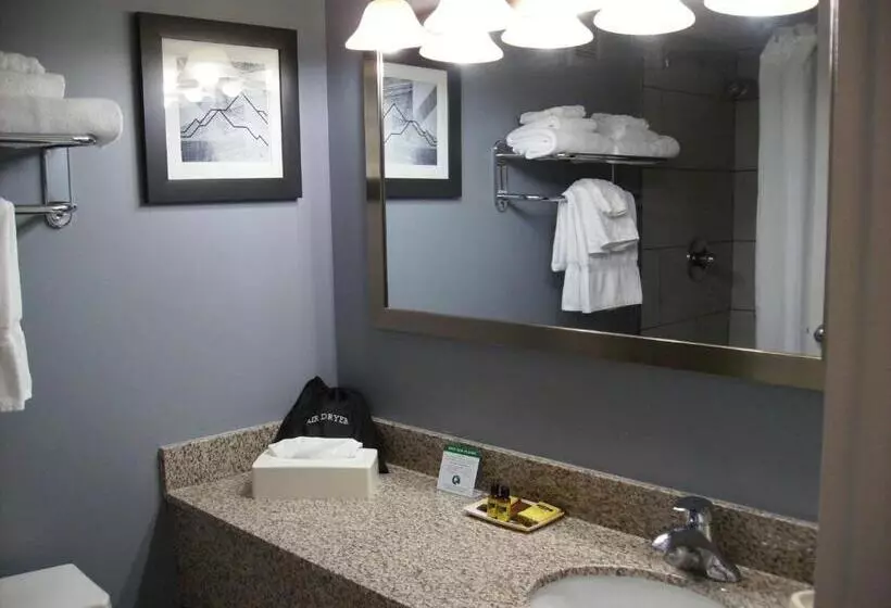 اتاق استاندارد, Best Western Plus Bradford Inn