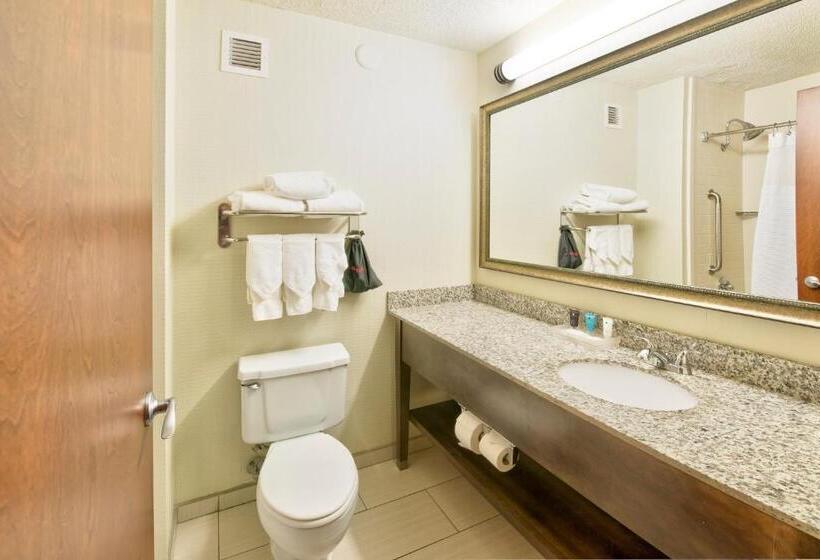 חדר סטנדרט עם מיטת קינג, Crowne Plaza Indianapolis Dwtn Union Stn, An Ihg