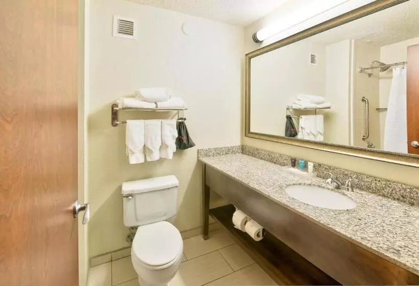 キングサイズベッドのスタンダードルーム, Crowne Plaza Indianapolis Dwtn Union Stn, An Ihg