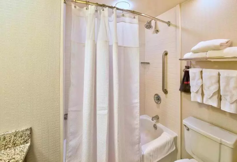 キングサイズベッドのスタンダードルーム, Crowne Plaza Indianapolis Dwtn Union Stn, An Ihg