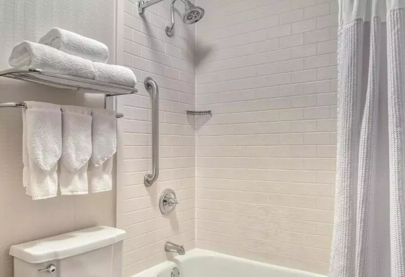 身障者適用キングサイズベッドルーム, Crowne Plaza Indianapolis Dwtn Union Stn, An Ihg