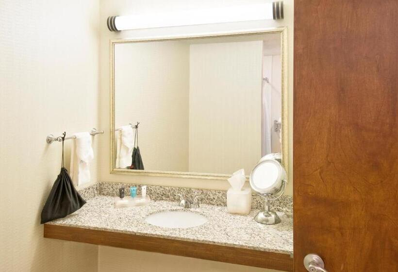 חדר סטנדרט, מיטת קינג, מותאם לאדם עם מוגבלויות, Crowne Plaza Indianapolis Dwtn Union Stn, An Ihg