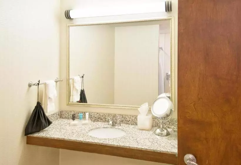 身障者適用キングサイズベッドルーム, Crowne Plaza Indianapolis Dwtn Union Stn, An Ihg