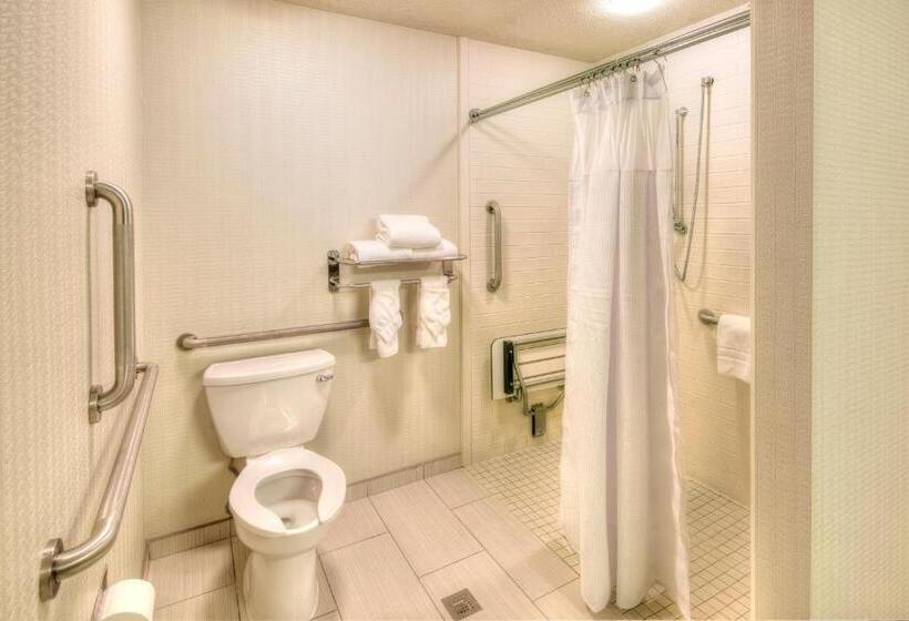 Standaardkamer met Kingsize Bed Aangepast voor Gehandicapten, Crowne Plaza Indianapolis Dwtn Union Stn, An Ihg