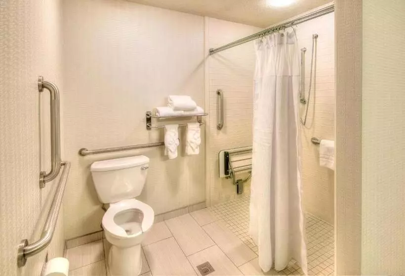 身障者適用キングサイズベッドルーム, Crowne Plaza Indianapolis Dwtn Union Stn, An Ihg