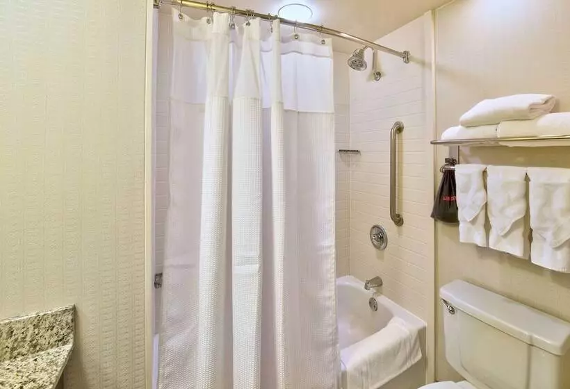 スイート, Crowne Plaza Indianapolis Dwtn Union Stn, An Ihg