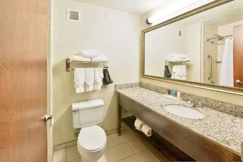 キングサイズベッドのスタンダードルーム, Crowne Plaza Indianapolis Dwtn Union Stn, An Ihg