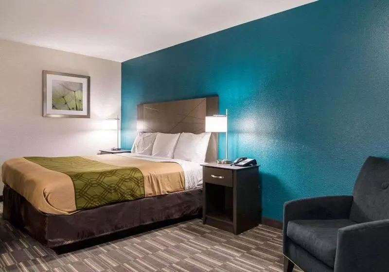 スイート, Crowne Plaza Indianapolis Dwtn Union Stn, An Ihg